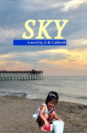 Cover of the book Sky by Maureen Smith