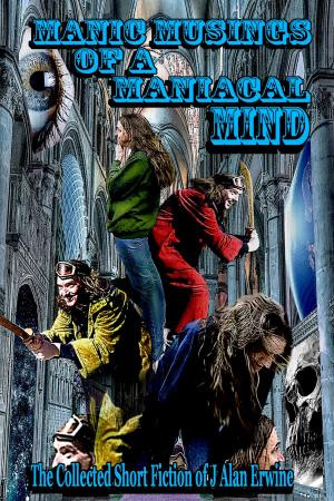 Book cover of Manic Musings of a Maniacal Mind