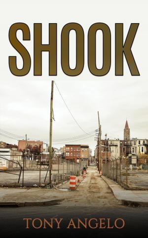 Cover of the book Shook by Teri L. Reynolds
