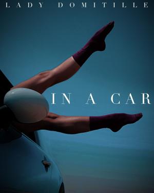 Book cover of In A Car