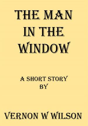 Cover of the book The Man In The Window by 鴻鴻