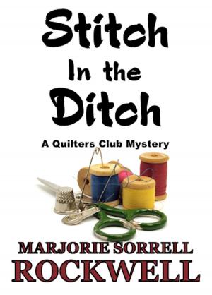 Book cover of Stitch in the Ditch