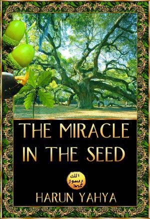Cover of the book The Miracle in the Seed by Leigh Tate