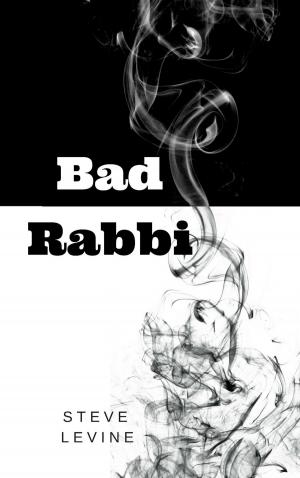 Cover of the book Bad Rabbi by Steve Orlandella