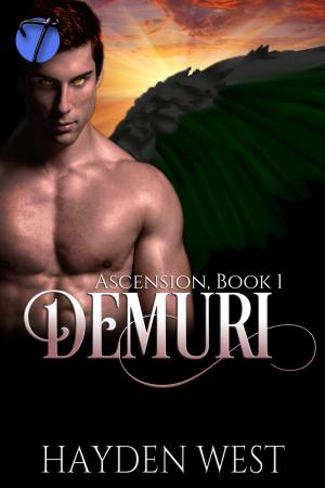 Cover of the book Demuri by Aliyah Burke