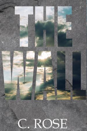Cover of the book The Wall: Part One by Huck Walker