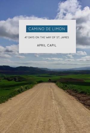 Cover of Camino de Limon: 47 Days on the Way of St. James