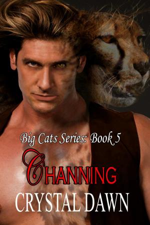 Cover of the book Channing by Kristina Villarini