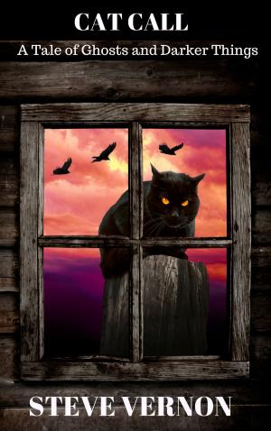 Cover of the book Cat Call: A Tale of Ghosts and Darker Things by Terri Meeker