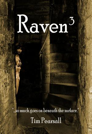 Book cover of Raven 3: "So Much Goes on Beneath the Surface."