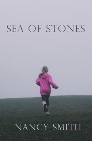Cover of the book Sea of Stones by H. S. Stone