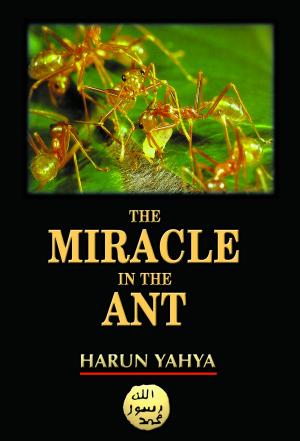 Cover of the book The Miracle in the Ant by Harun Yahya
