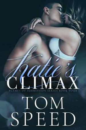 Cover of the book Katie's Climax by Jodi Kae
