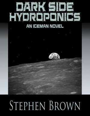 Cover of the book Dark Side Hydroponics by Stephen Brown