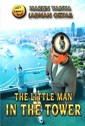Book cover of The Little Man in the Tower