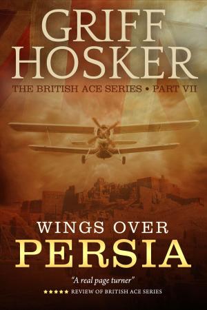Cover of the book Wings Over Persia by Chris Parker