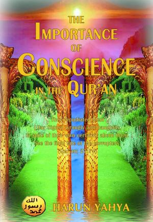 Book cover of The Importance of Conscience in the Qur'an