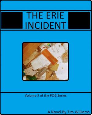 Book cover of The Erie Incident
