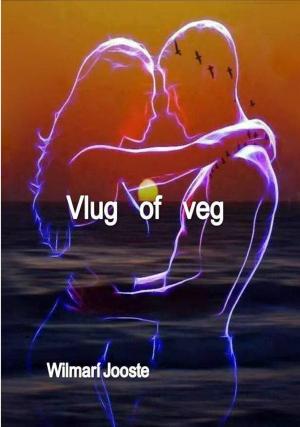 Cover of the book Vlug of veg by Kristy Gibs
