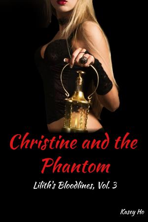 Book cover of Christine and the Phantom