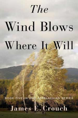 Cover of the book The Wind Blows Where It Will by Eileen Schuh