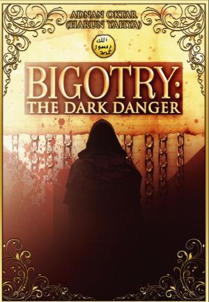 Cover of Bigotry: The Dark Danger