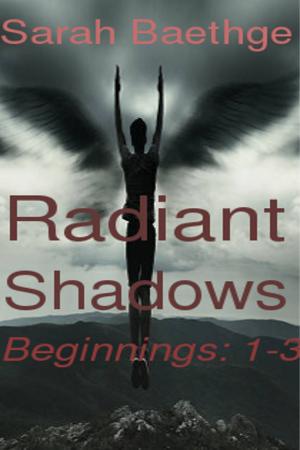Cover of the book Radiant Shadows: Beginnings (parts 1-3) by Ray Succre