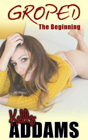 Cover of the book Groped: The Beginning by Anna Mann
