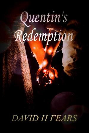 bigCover of the book Quentin's Redemption by 