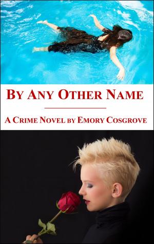Cover of the book By Any Other Name by Muffy Wilson