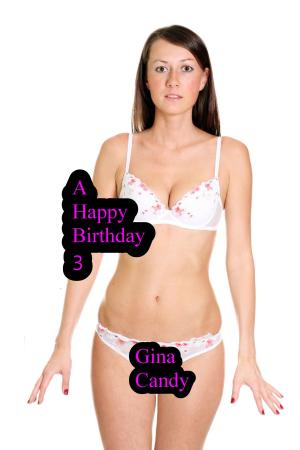 Cover of the book A Happy Birthday 3 by Gina Candy