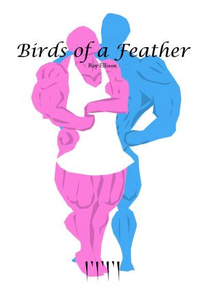 Cover of the book Birds of a Feather by Raven ShadowHawk