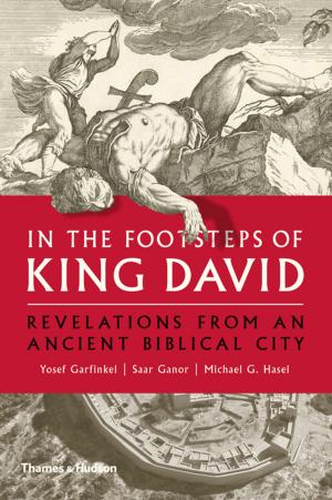 Cover of the book In the Footsteps of King David: Revelations from an Ancient Biblical City by David Lewis-Williams, David Pearce