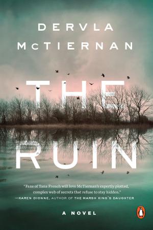 Cover of the book The Ruin by Stephen White
