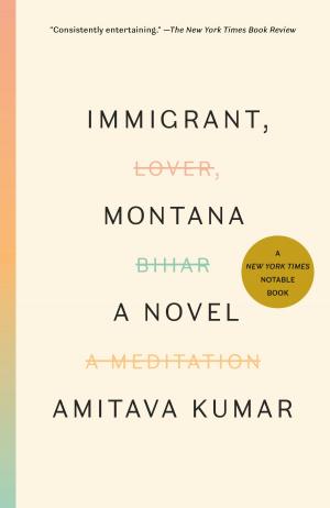 Cover of the book Immigrant, Montana by Anthony Lewis