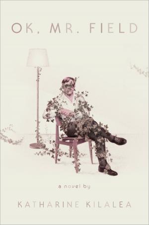 Cover of the book OK, Mr. Field by Dana Caldarone