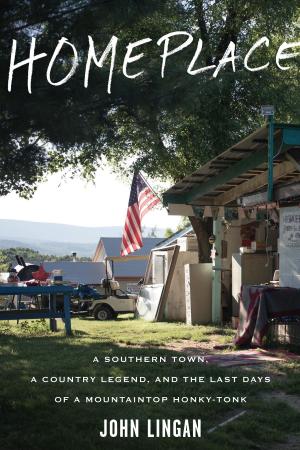 Cover of the book Homeplace by Mardee Haidin Regan
