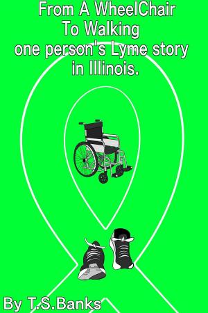 Cover of From a wheelchair to walking one person's Lyme story in Illinois.