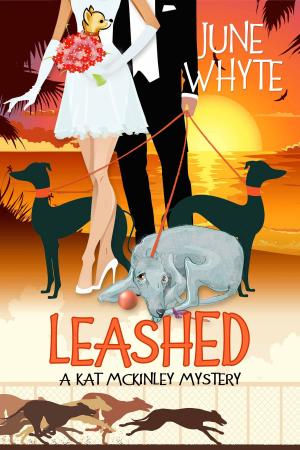 Book cover of Leashed