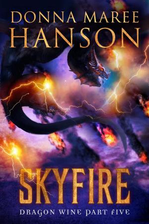Cover of the book Skyfire by Donna Maree Hanson