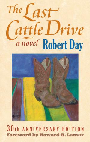 bigCover of the book The Last Cattle Drive by 