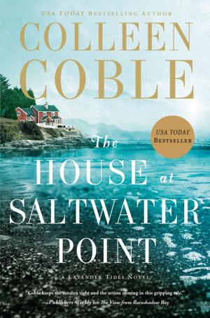 Cover of the book The House at Saltwater Point by Stuart Briscoe