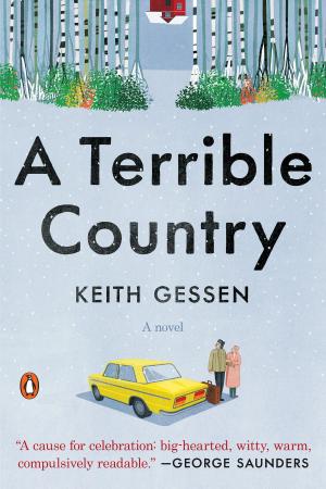 Cover of the book A Terrible Country by Christina Dodd