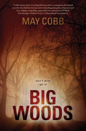 Cover of the book Big Woods by Rose Vanden Eynden