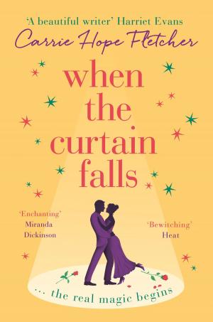 Cover of the book When the Curtain Falls by Quentin Bates