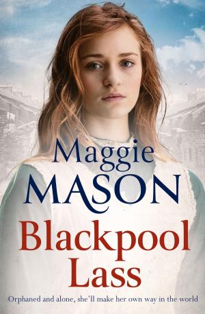 Cover of the book Blackpool Lass by Megan Chance