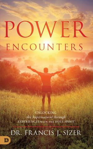 Cover of the book Power Encounters by Louisa Jolanda