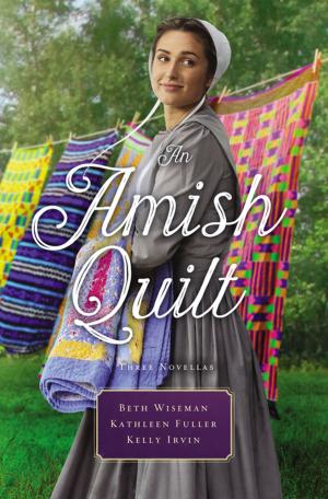 Book cover of An Amish Quilt
