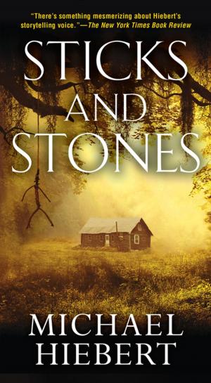 Cover of the book Sticks and Stones by Andrew Britton