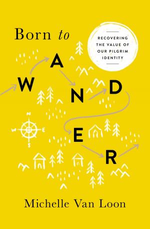 Cover of the book Born to Wander by David Peters, Arlene Peters